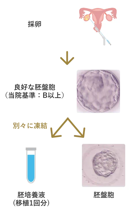 採卵周期