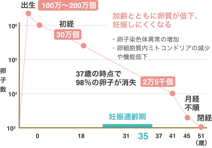 女性の年齢と卵子の老化