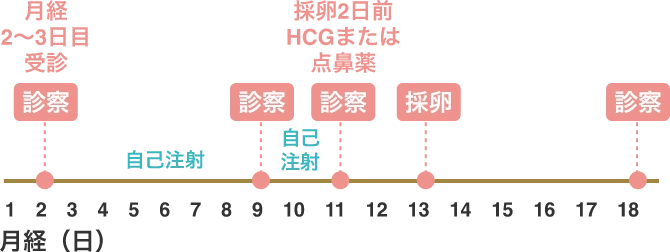 治療スケジュール