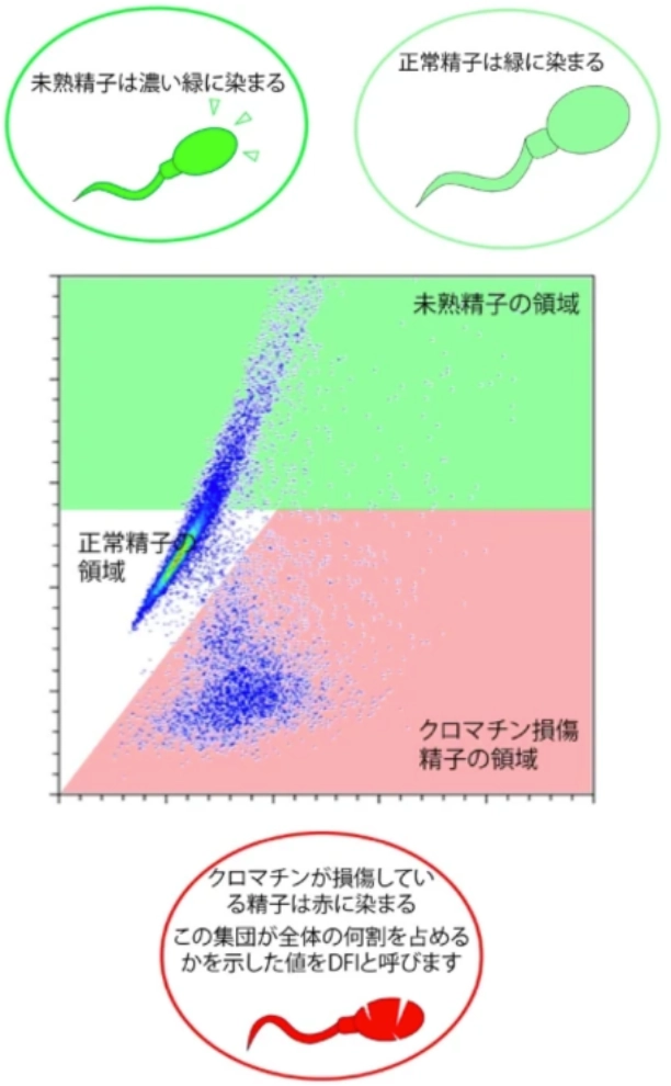 成績