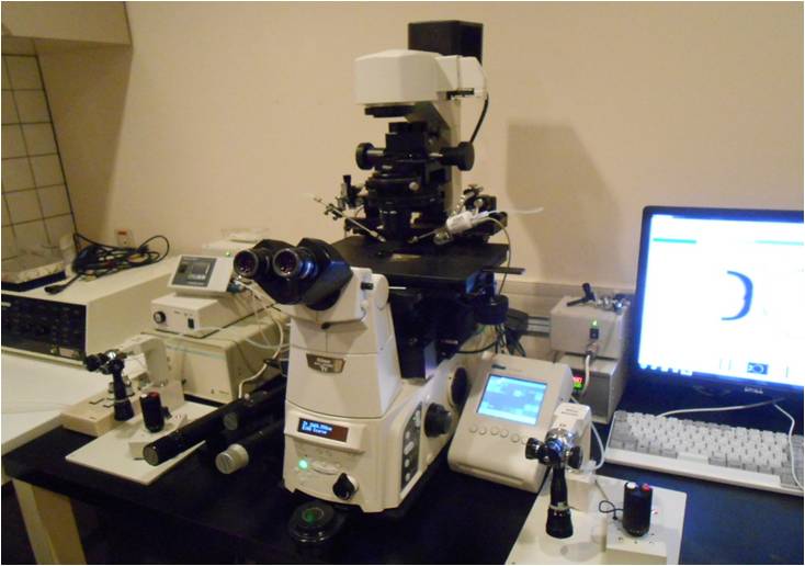 Piezo-ICSIを行う顕微鏡