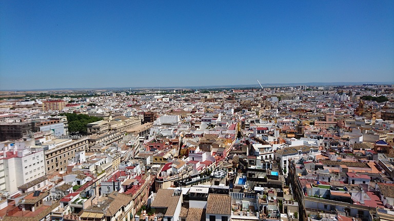 バルセロナ（スペイン）で開催された生殖医学会に参加して